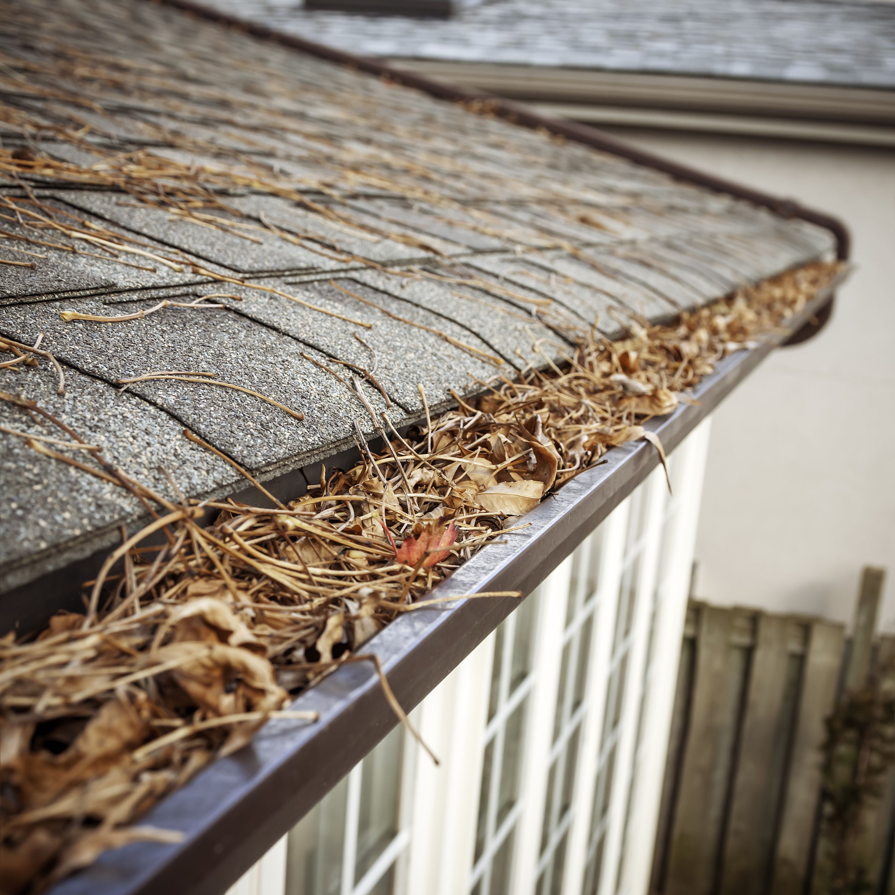 The Importance of a Properly Functioning Gutter